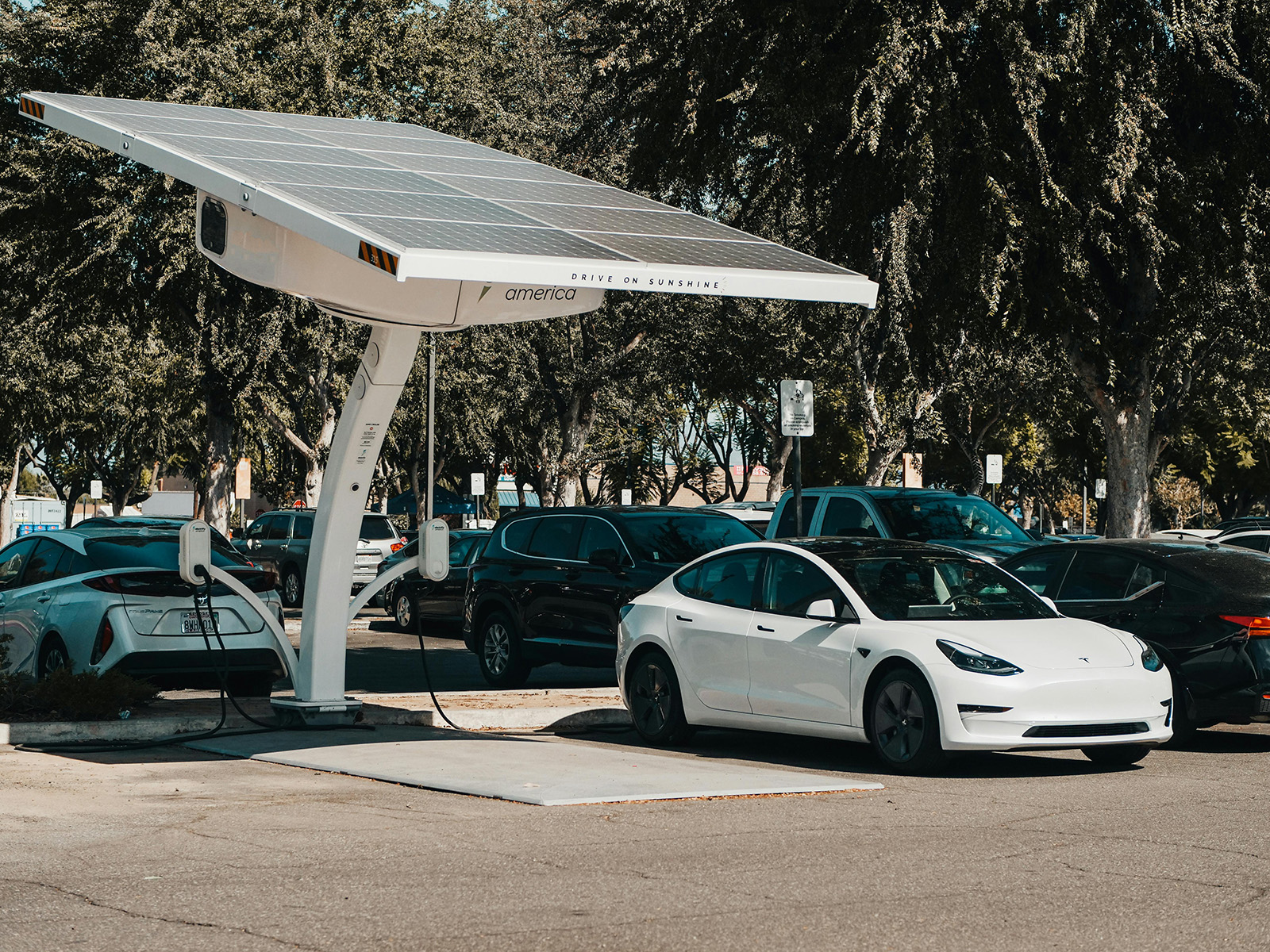 electric vehicles at a charging station