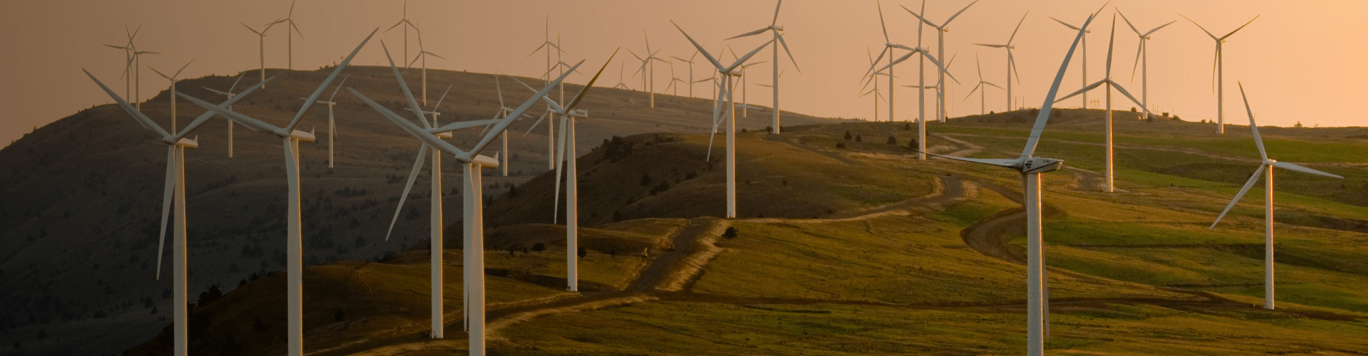 solar farm on hillside