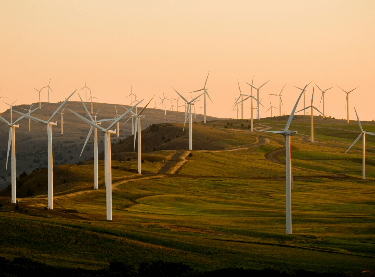 solar farm on hillside